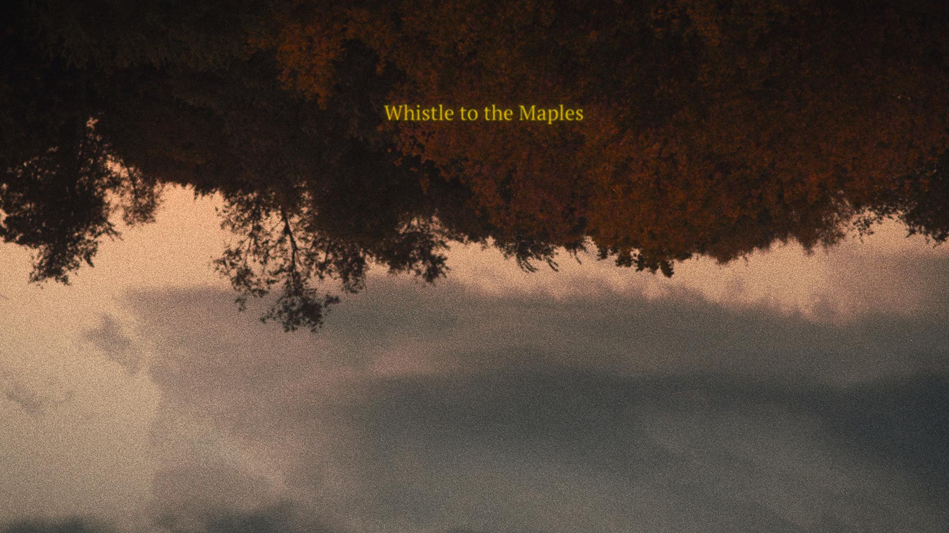 Whistle to the Maples